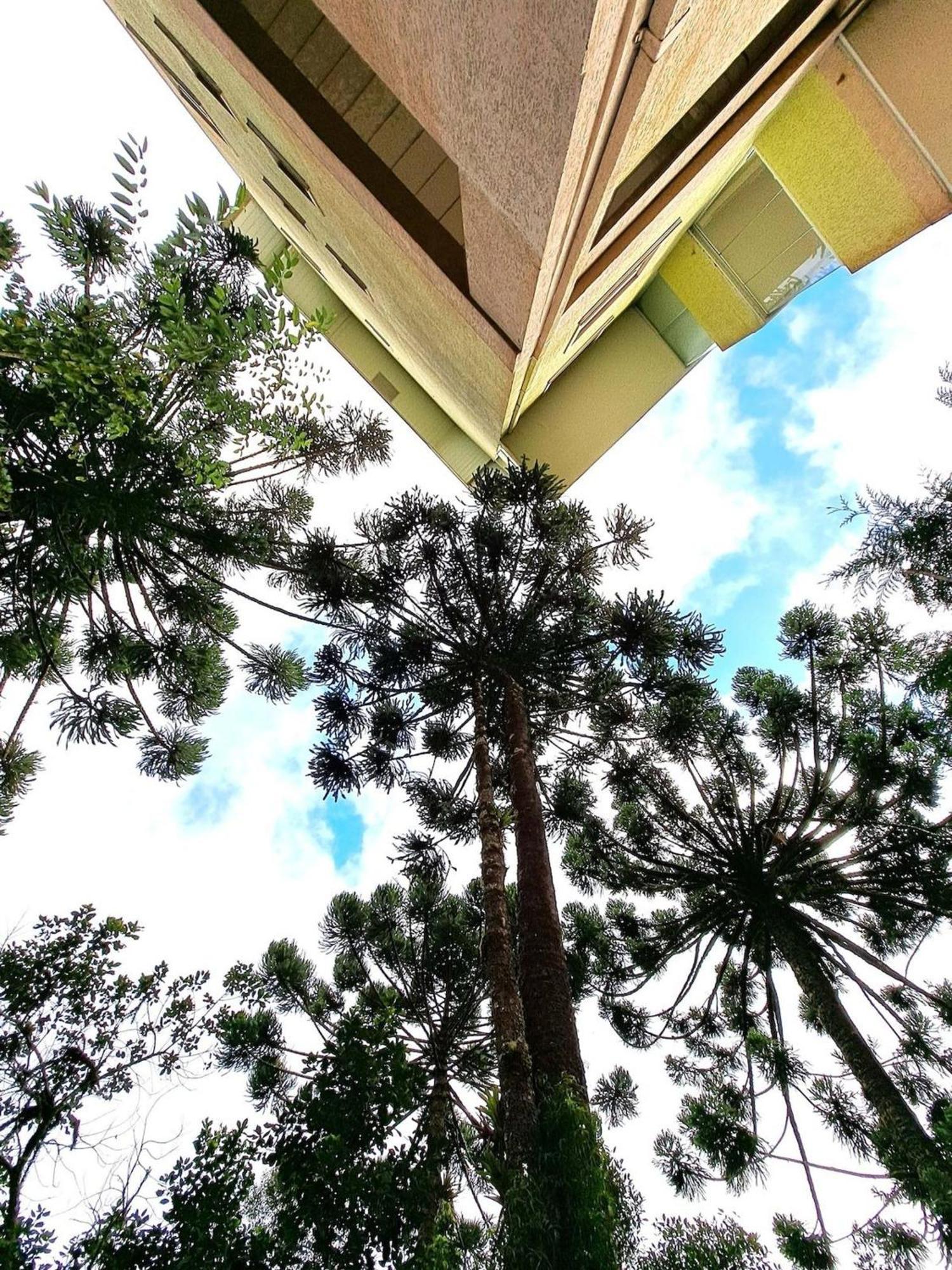 Apartamento Charmoso Com Lareira Campos do Jordao Exterior photo